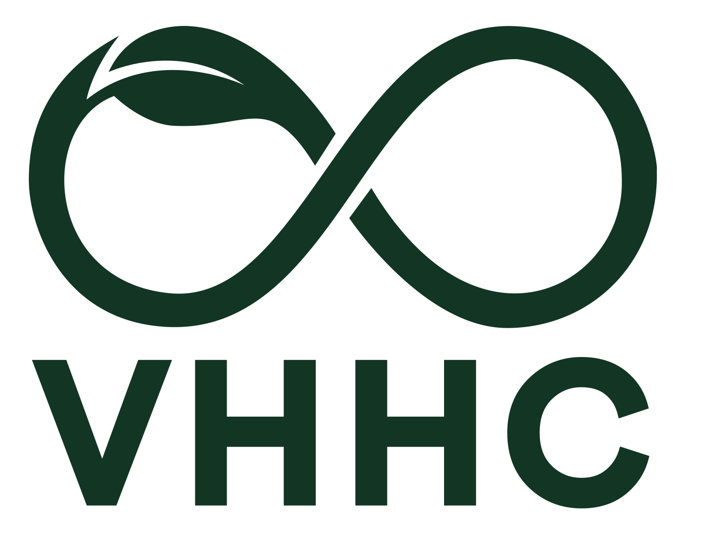 HOAN CAU | Strategic Thought Partner